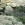 garden landscapes cheap